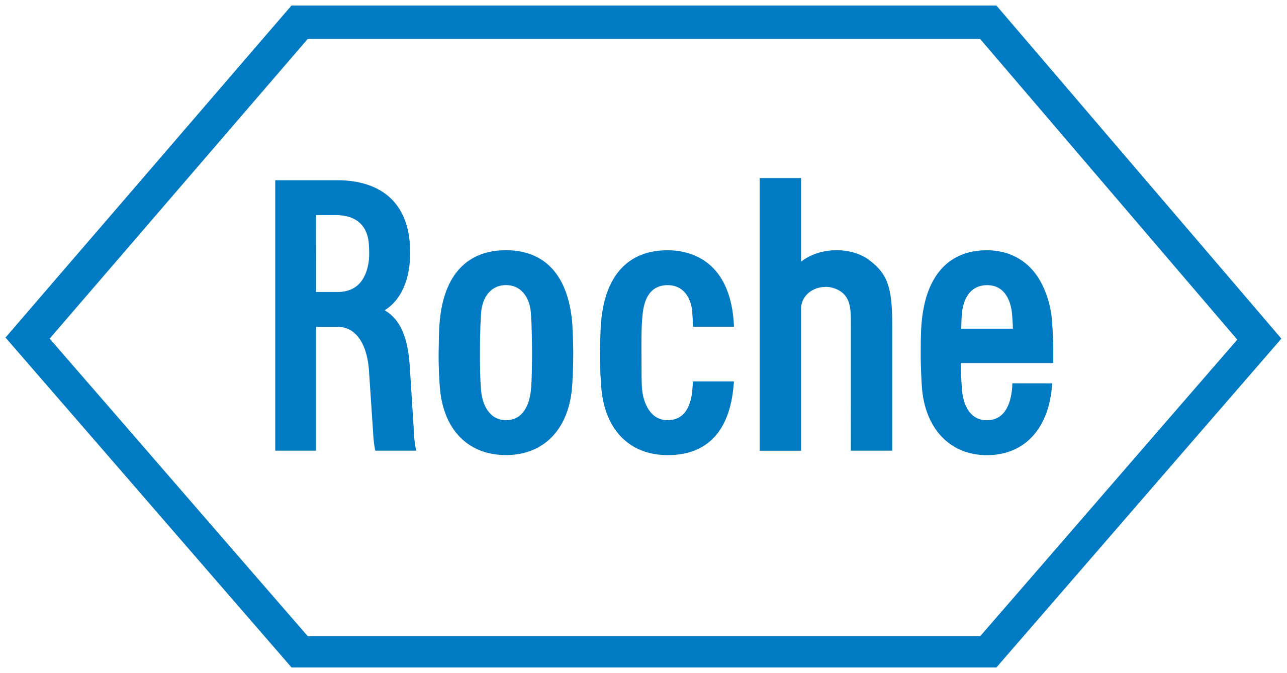 Roche Holding Logo